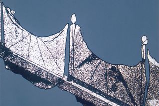 JPG\139\gironcoli_GF0001833.00_005.jpg