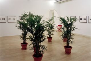 JPG\156\2005_c_sammlt0009372.jpg