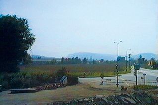 JPG\164\zobernig_GF0000290.00_001.jpg