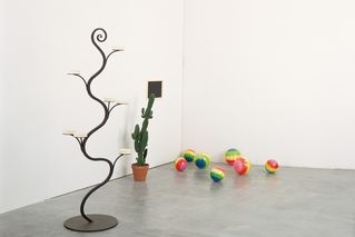 JPG\177\weibel_GF0000032.00_001.jpg