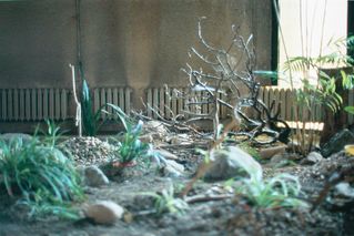 JPG\189\pumhoesl_GF0030772.01_0000012477.jpg
