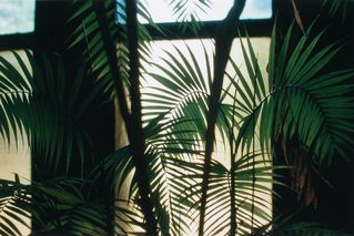 JPG\193\pumhoesl_GF0030772.03_0000012481.jpg