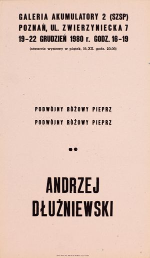 © © Generali Foundation Collection—Permanent Loan to the Museum der Moderne Salzburg JPG\211\kozlowski_GF0031643.00_0000014035.jpg