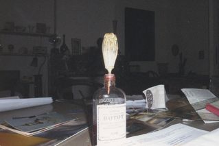 JPG\216\GF_VDSTL0015064.jpg