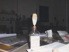 JPG\216\GF_VDSTL0015064.jpg