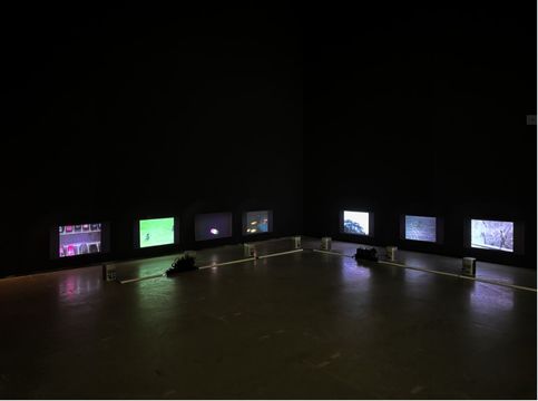 JPG\245\GF_VDSTL0015093.JPG