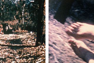 JPG\2\graham_GF0003310.00_015.jpg